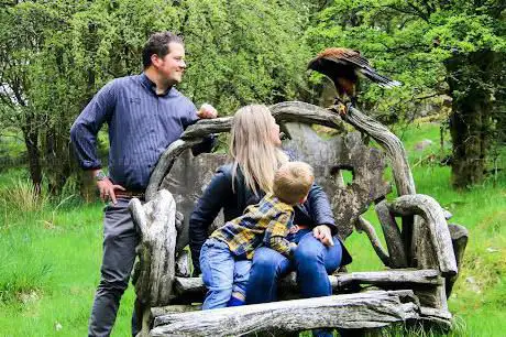 Lake District Falconry