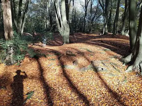 Ambresbury Banks