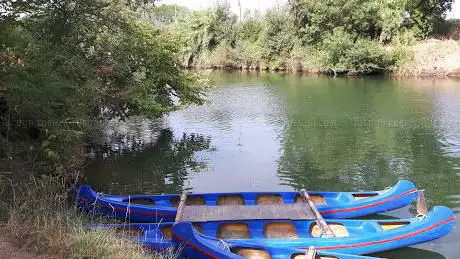 Canoe Fiume Ombrone Parco Regionale Della Maremma