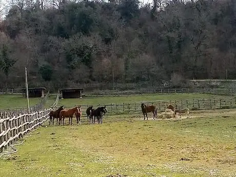 CAMPO GARA AREZZO LATERINA PESCA SPORTIVA