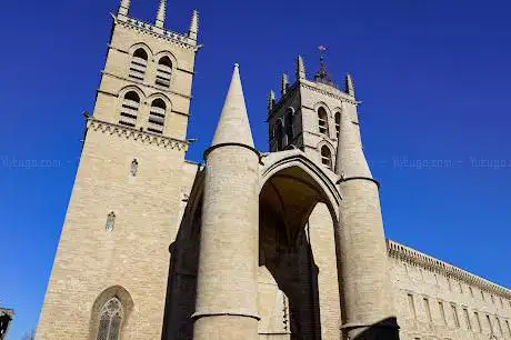 Montpellier Cathedral