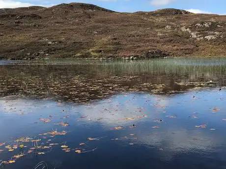 Dock Tarn