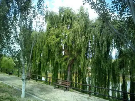 Parc de la Bassa Roja