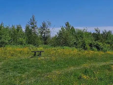 Bench at Wood Pool