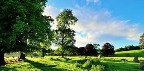 Penbedw Park Stone Circle