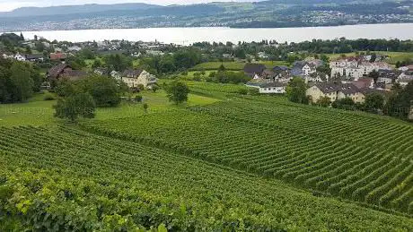 Ausblick Grütstrasse