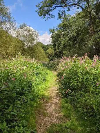 Redbrook Wildlife Trail