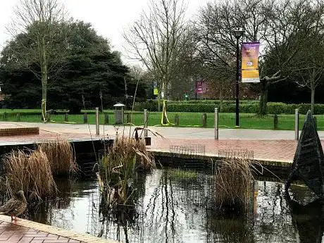 Library Square