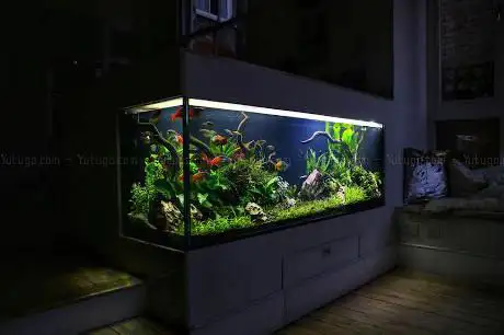 ViDERE Aquariums