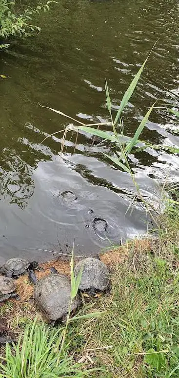 Parc Ã  tortues des Chanteraines