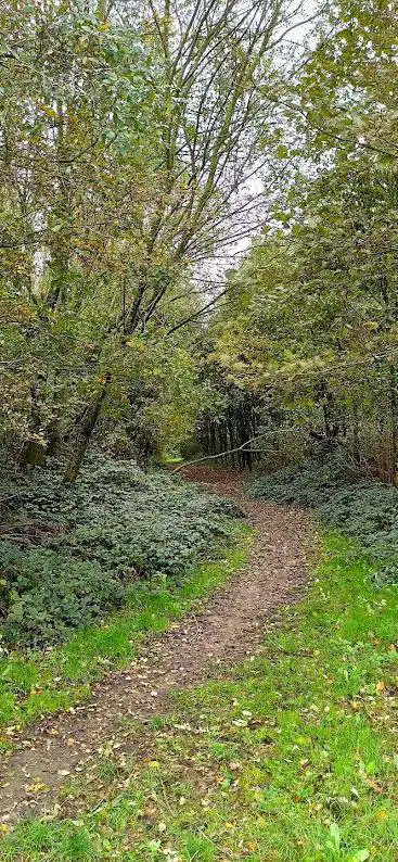 trektelpunt heihoek