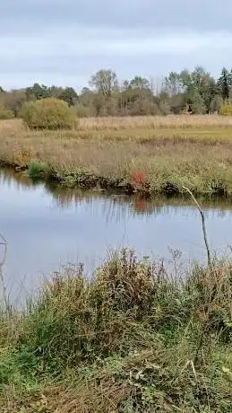 Feckenham Wylde Moor Nature Reserve