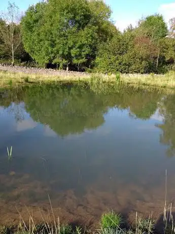 Aberduna Nature Reserve & North Wales Wildlife Trust Office (North East)