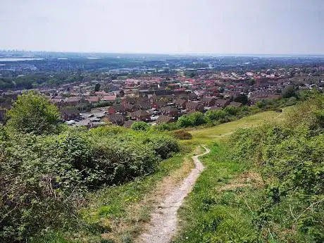 Paulsgrove Hill Cliffs.