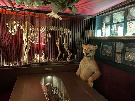 The Viktor Wynd Museum of Curiosities  Fine Art & UnNatural History