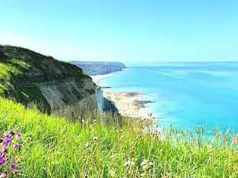 Falaises de Criel-sur-Mer