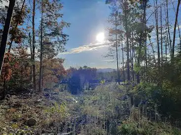 Northwood Park Disc Golf Course