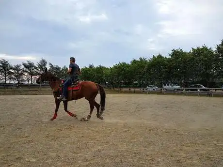 San Marco Riding Club