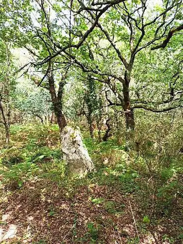 Menhir de Lann-er-Runel