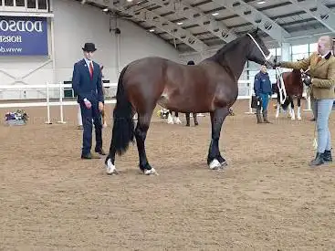 Aintree International Equestrian Centre