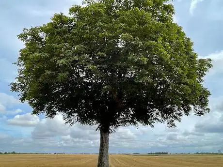 Le marronnier de lâ€™A10