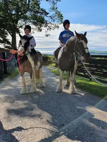 Linden Farm Riding & Trekking Centre