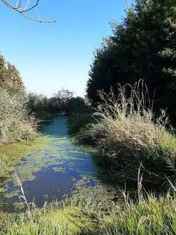 Riserva Naturale Paludi di Ostiglia