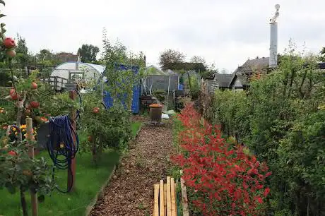 Over Allotments  Moss Bank, Winsford