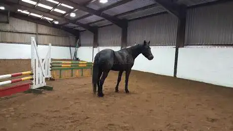 Alsager Equestrian Centre