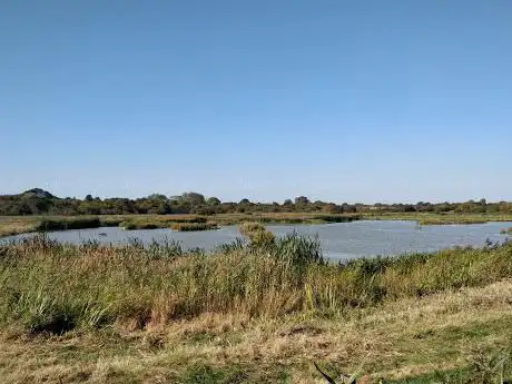 Pumfrett Hide