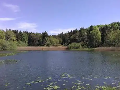 Office National des Forêts (O.N.F)