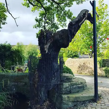 The Fish Stones & Oak Tree