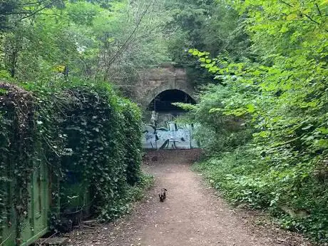 Crescent Wood Tunnel (Northern Portal)