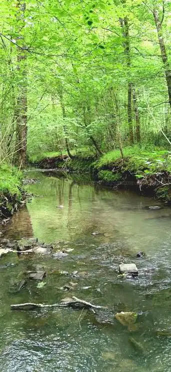 N 22 Sentier de découverte du Bois de Mixe