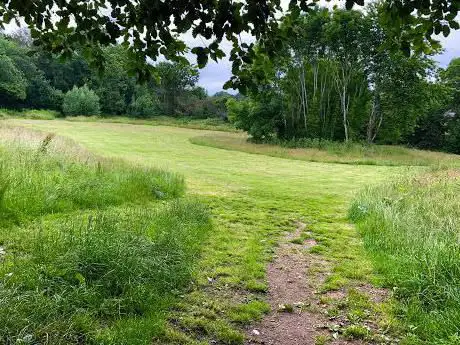 Knowle Hill Nature Reserve