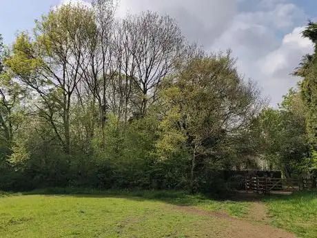 Green Lane Nature Reserve