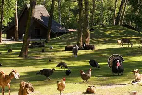 Kinderboerderij en hertenkamp Weert