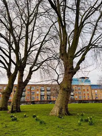 Vallance gardens