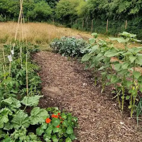 Yorkley Village Garden