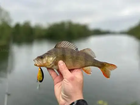 Tumbling Bay Lake