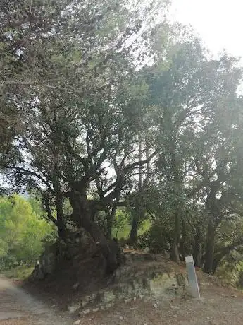 Coll de l'Ametleral