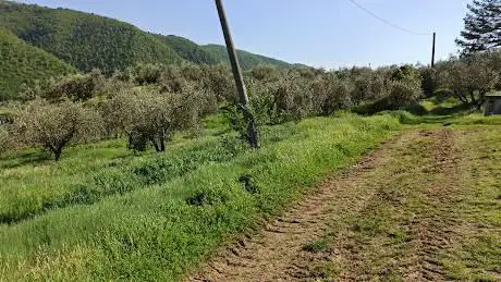 Via di Francesco Firenze - Pontassieve