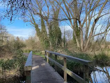 The Wetland Boardwalk