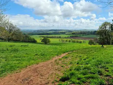 National Trust - Killerton