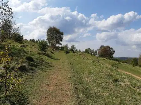 Rudge Hill Nature Reserve