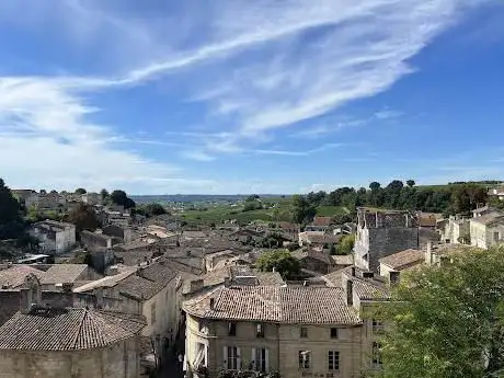 Bordeaux Wine Trails - Wine tours