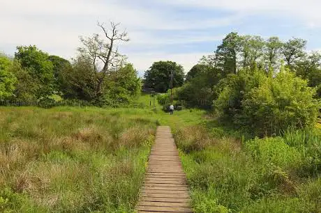 Wybunbury Moss NNR SSSI site