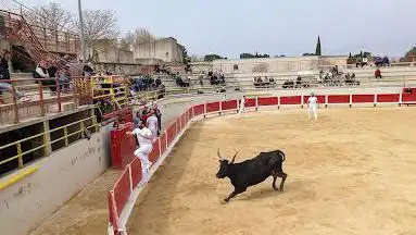 Arènes municipales Chomel-Coinon