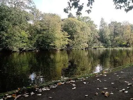 Whitewebb Forest Pond