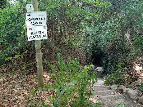 Forn de Calç de Ribatallada